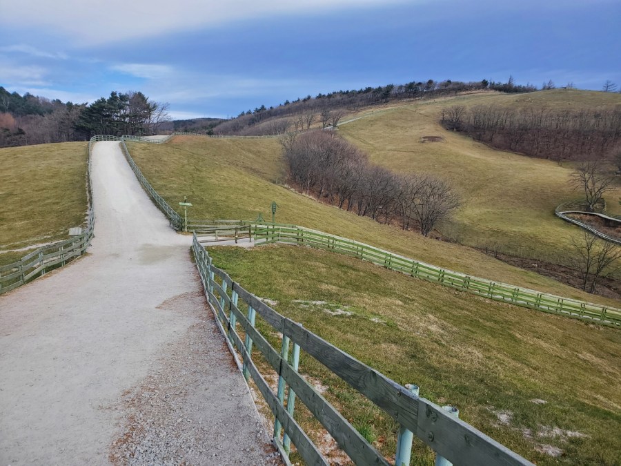 Daegwallyeong Sheep Ranch 